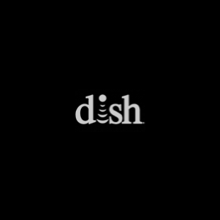 dish